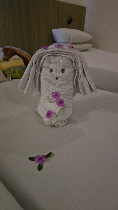 Zimmer Regina Resort and Aqua Park Hurghada