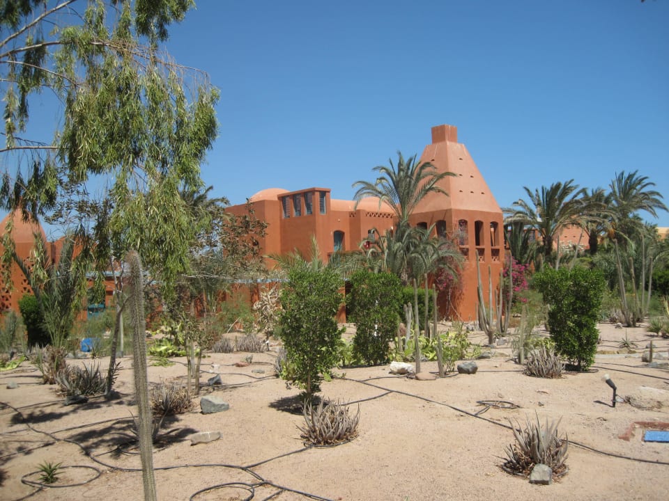 Garten Sheraton Miramar Resort El Gouna