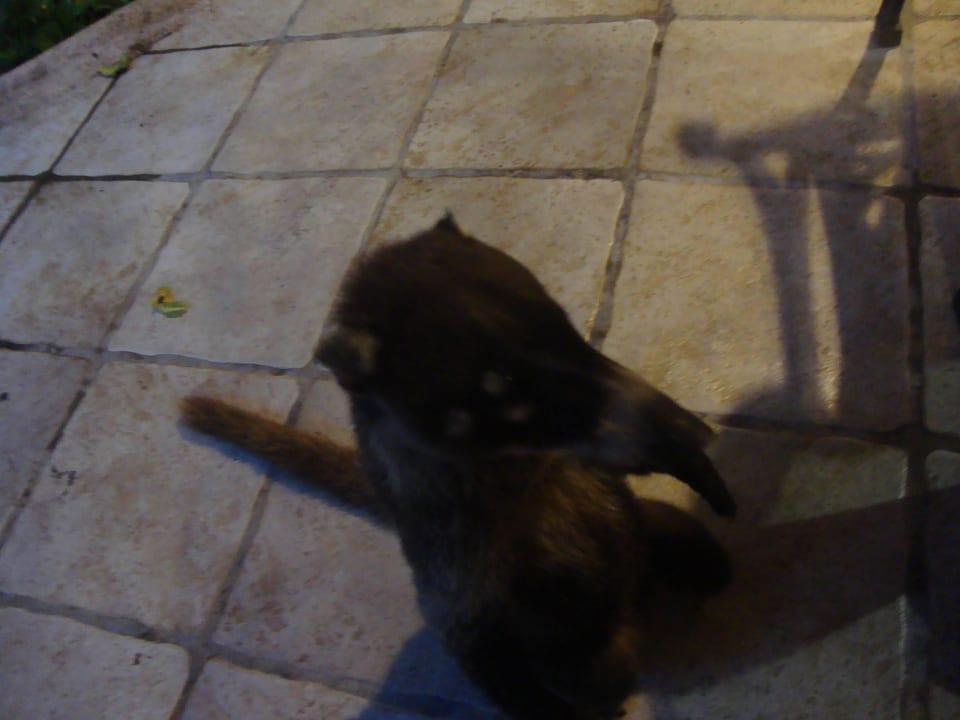 Hotel Catalonia Playa Maroma Catalonia Playa Maroma