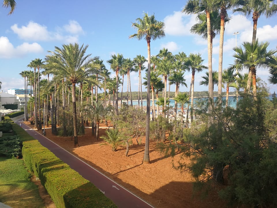 Zimmer Hipotels Mediterraneo Club