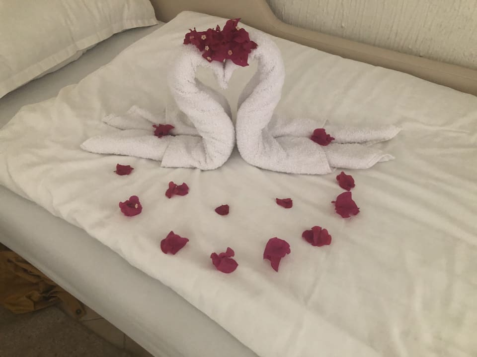 Zimmer TUI MAGIC LIFE Penelope Beach