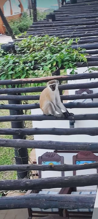 Sonstiges Hotel Southern Palms Beach Resort