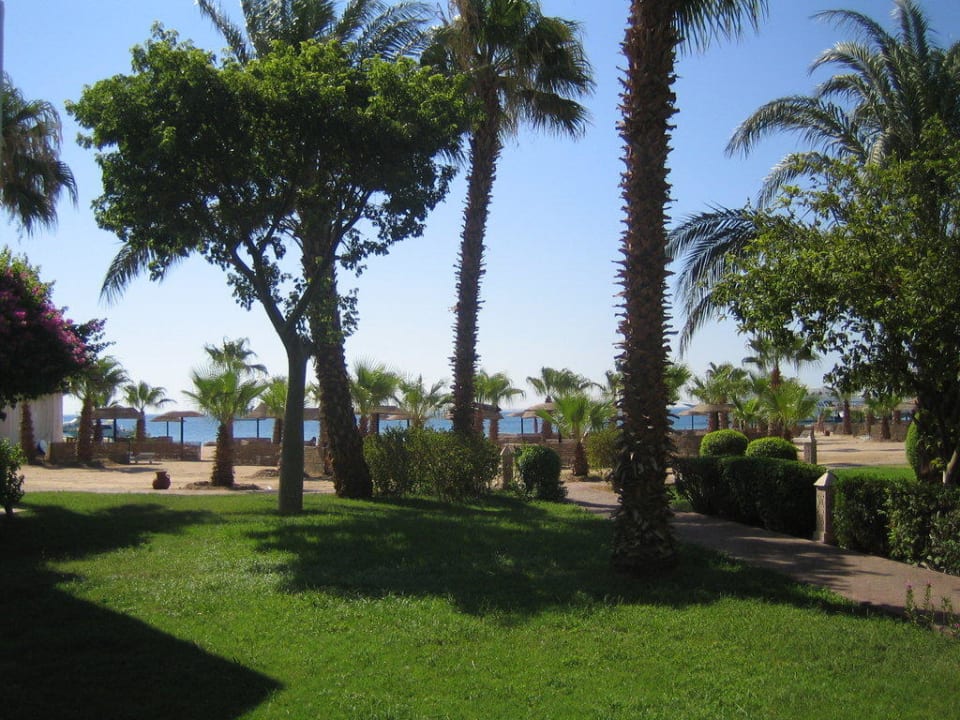 Gartenanlage Lotus Bay Beach Resort