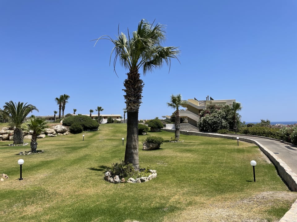 Gartenanlage Hotel Kalithea Horizon Royal