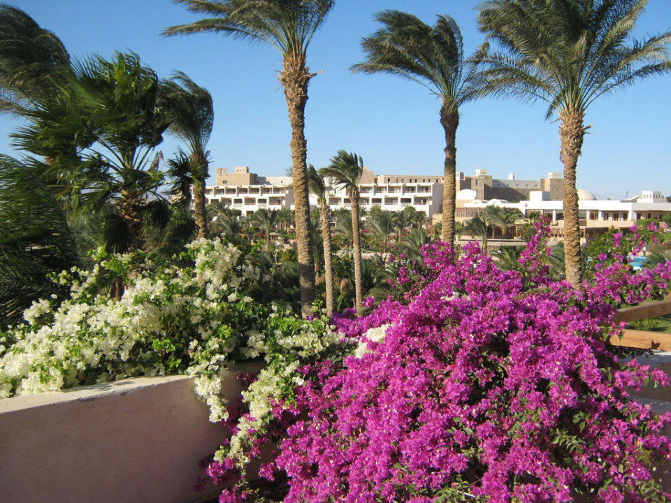 Blick auf Old Wing Fort Arabesque Resort, Spa & Villas