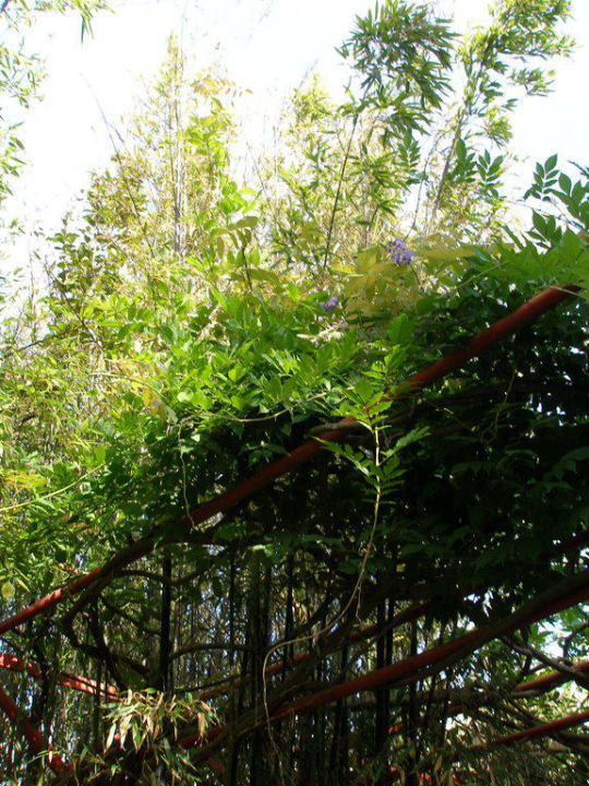 Garten Hotel Enfrente Arte