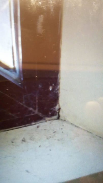 Reinlichkeit Odessos Park Hotel