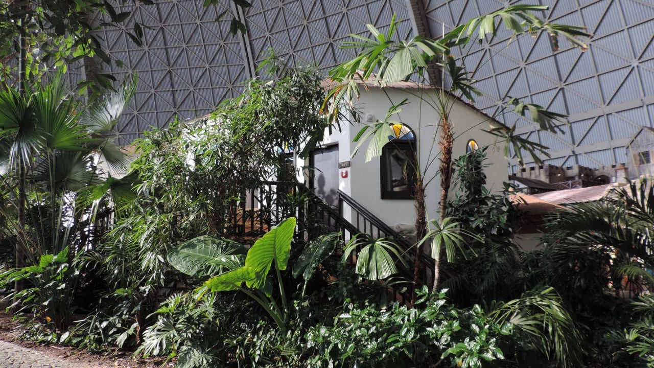 Premium-Lodge am Rande des Regenwaldes Tropical Islands Resort