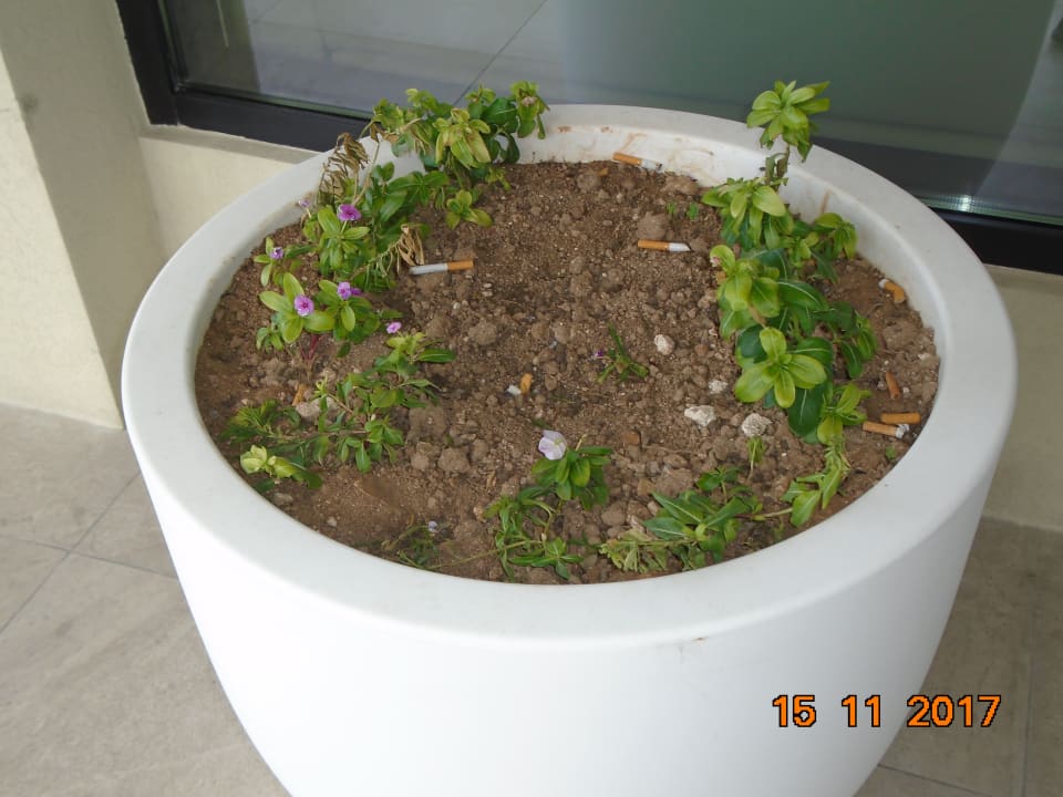 Gartenanlage Riviera Spa Resort - Adults Only