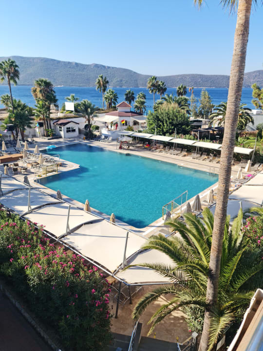 Pool TUI MAGIC LIFE Bodrum - Adult Only (16+)