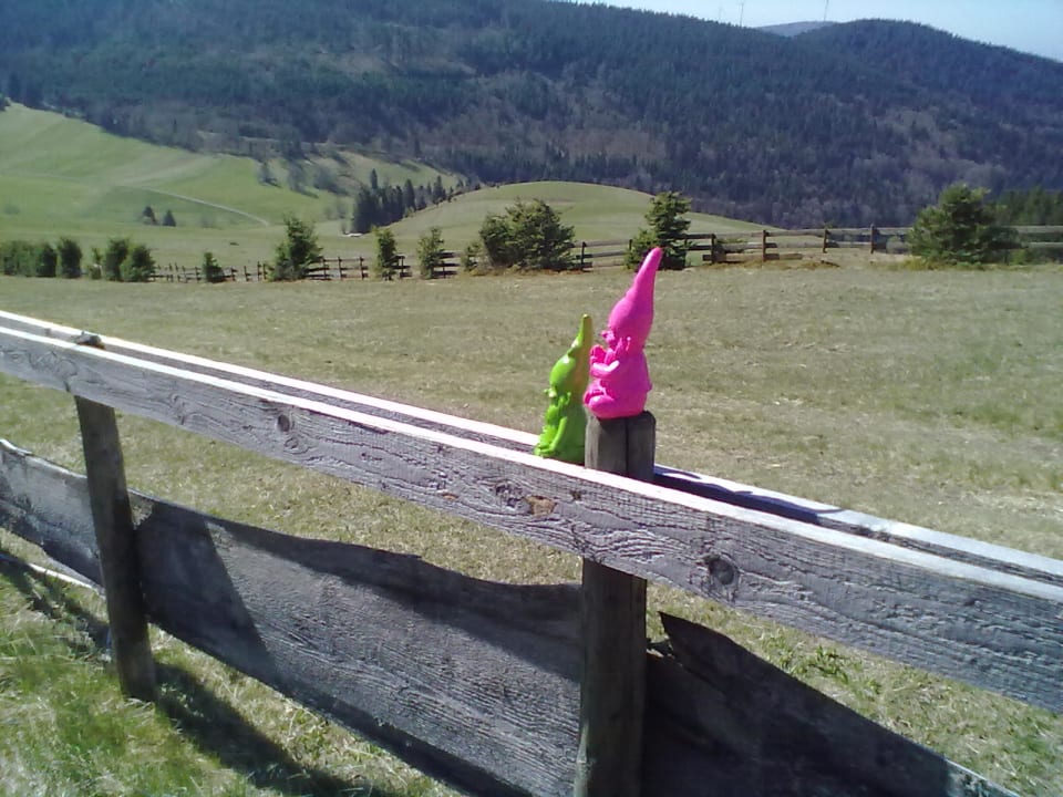 Ausblick derWaldfrieden naturparkhotel