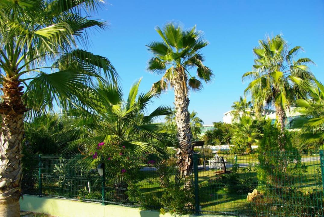 Ende Nov. 2012 VONRESORT Golden Coast