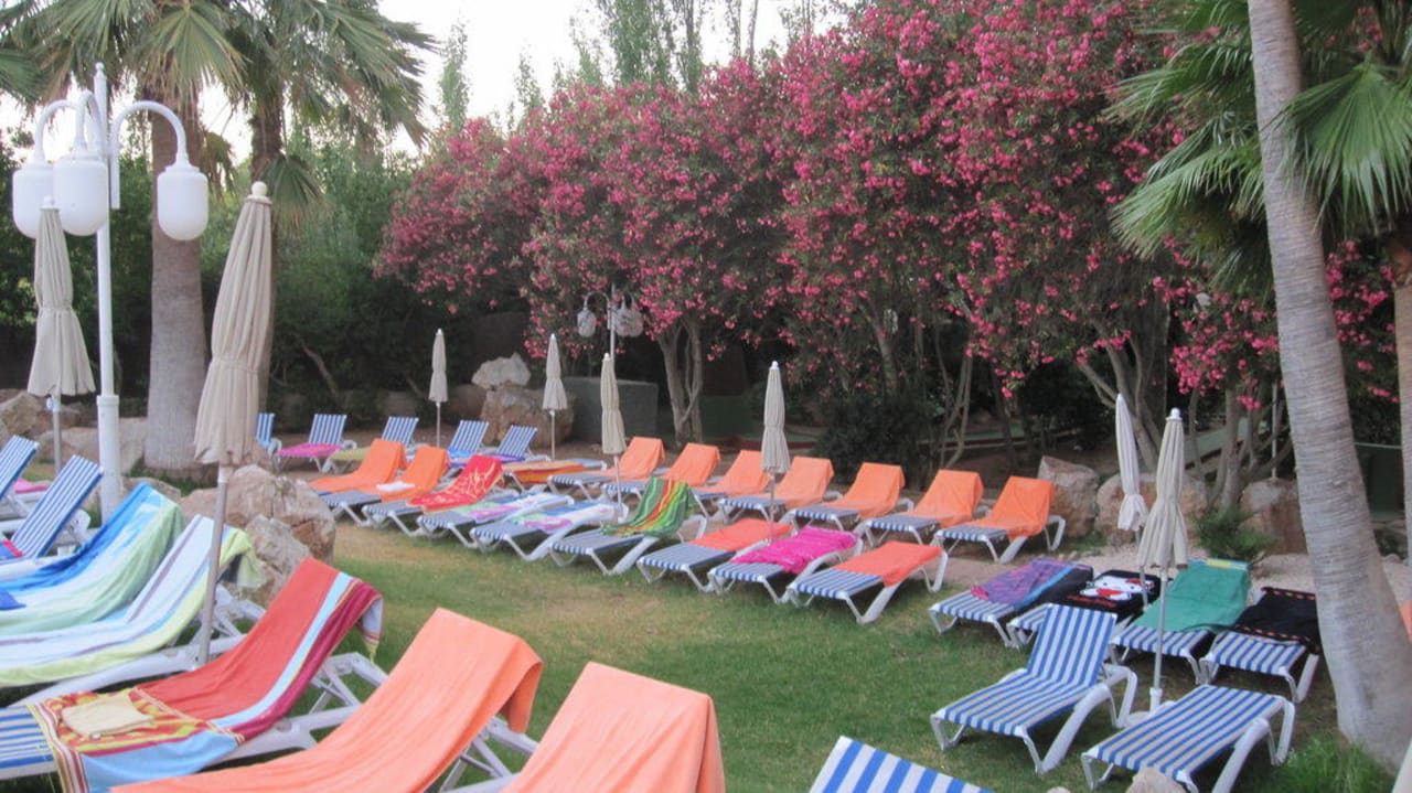 Vor Sonnenaufgang R2 Lago Playa Park