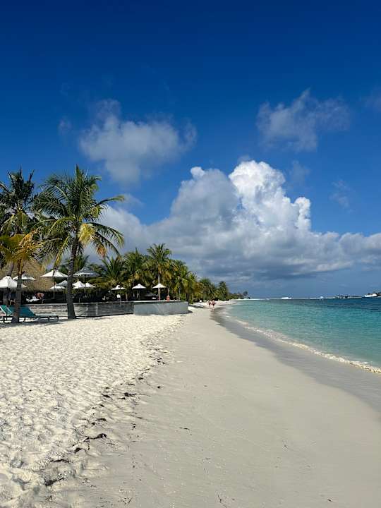 Zimmer Kuredu Island Resort & Spa
