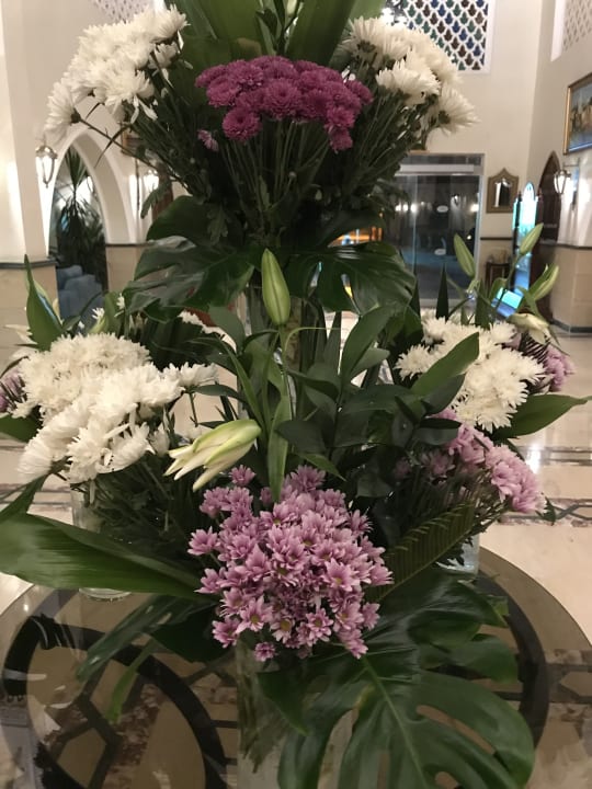 Sonstiges Pickalbatros Alf Leila Wa Leila Resort - Neverland Hurghada