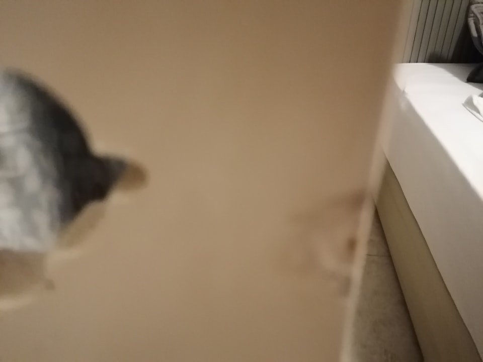 Zimmer Paloma Family Club