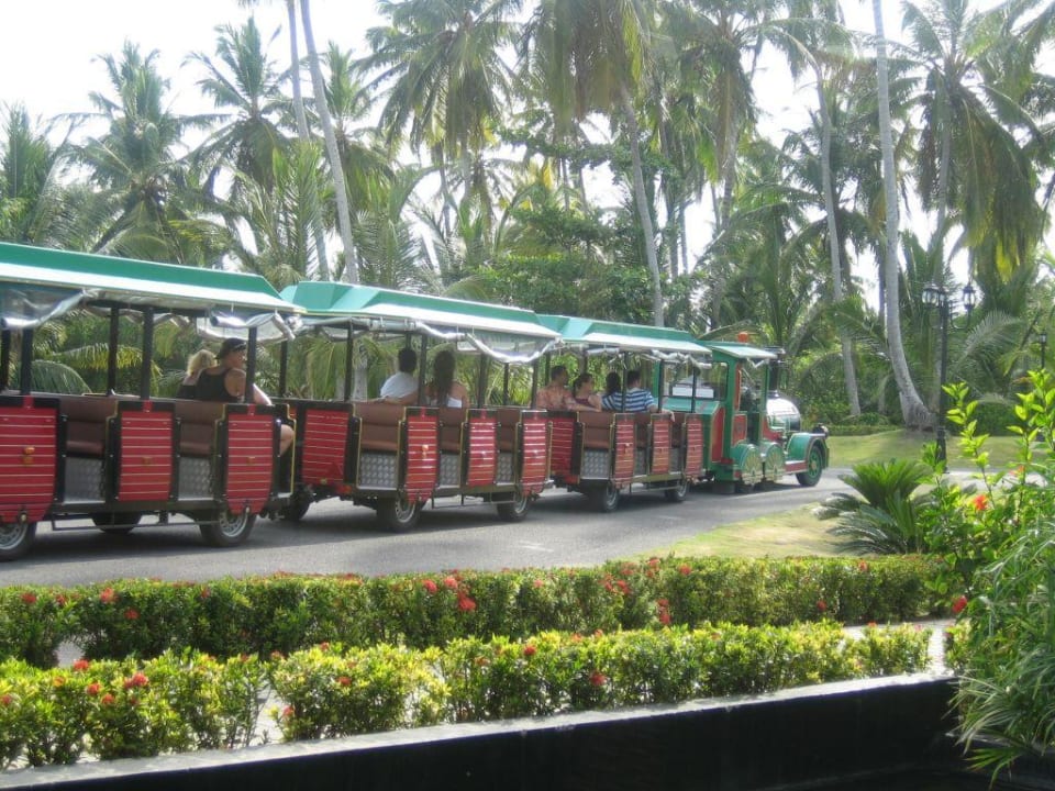 Bimmelbahn Hotel Grand Palladium Palace Resort, Spa & Casino