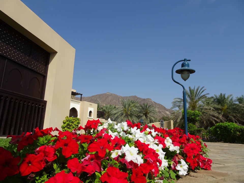 Gartenanlage Miramar Al Aqah Beach Resort