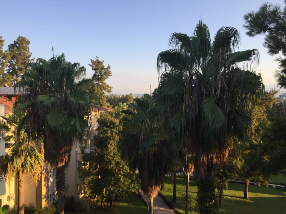 Aussenanlage Club Sidelya Hotel