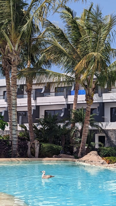 Pool R2 Romantic Fantasia Suites - Adults only