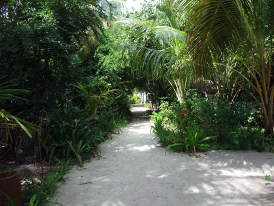 Im Inselinneren Reethi Beach Resort