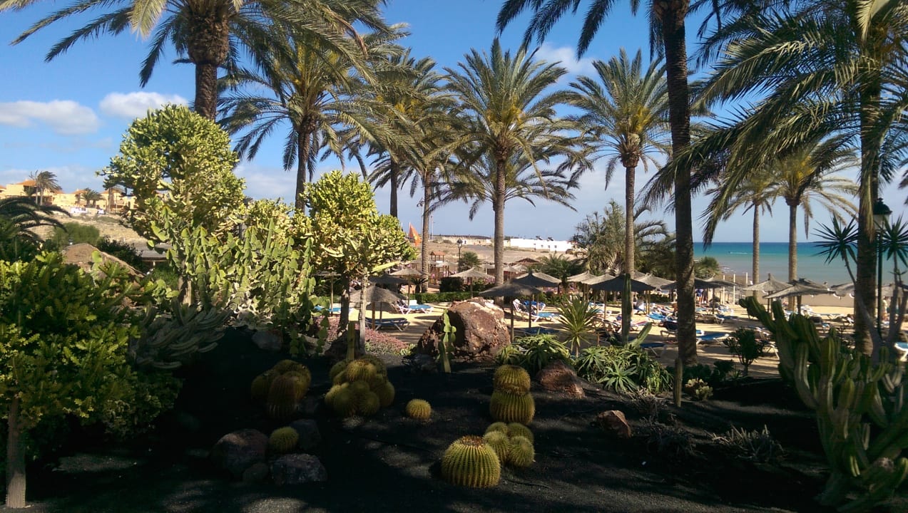 Gartenanlage SBH Costa Calma Beach Resort