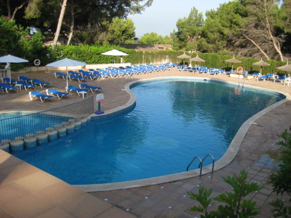 Pool Grupotel Orient