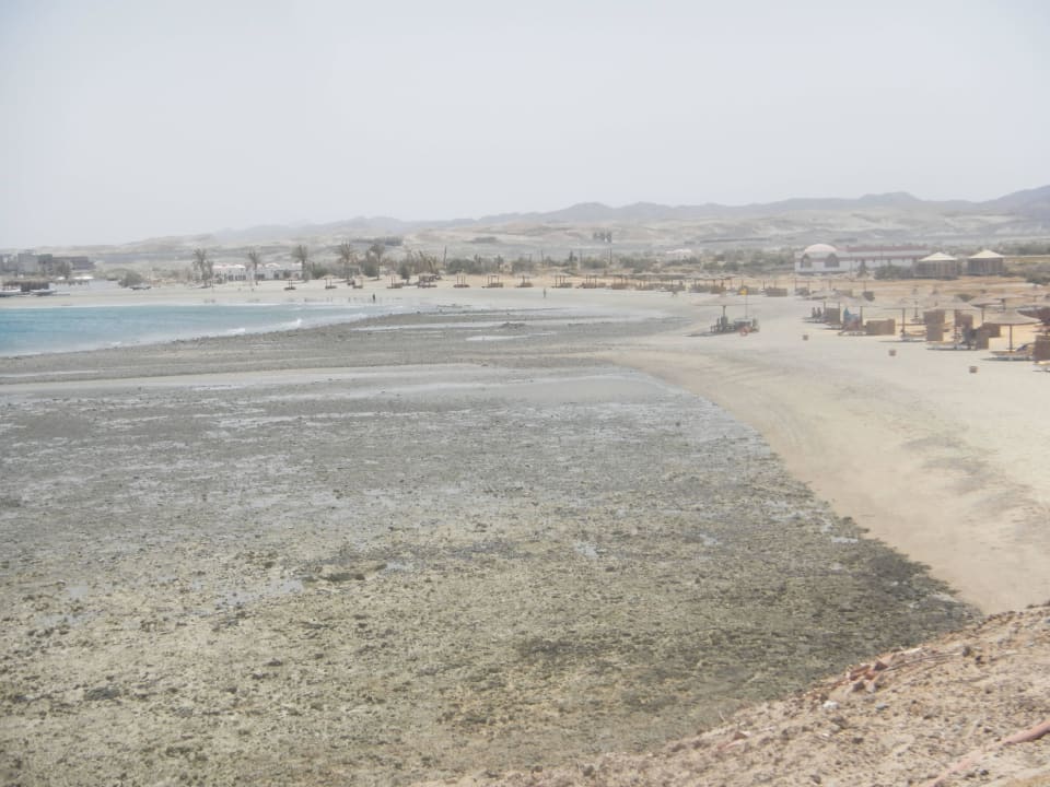Strand u Hausriff bei Ebbe Three Corners Equinox Beach Resort