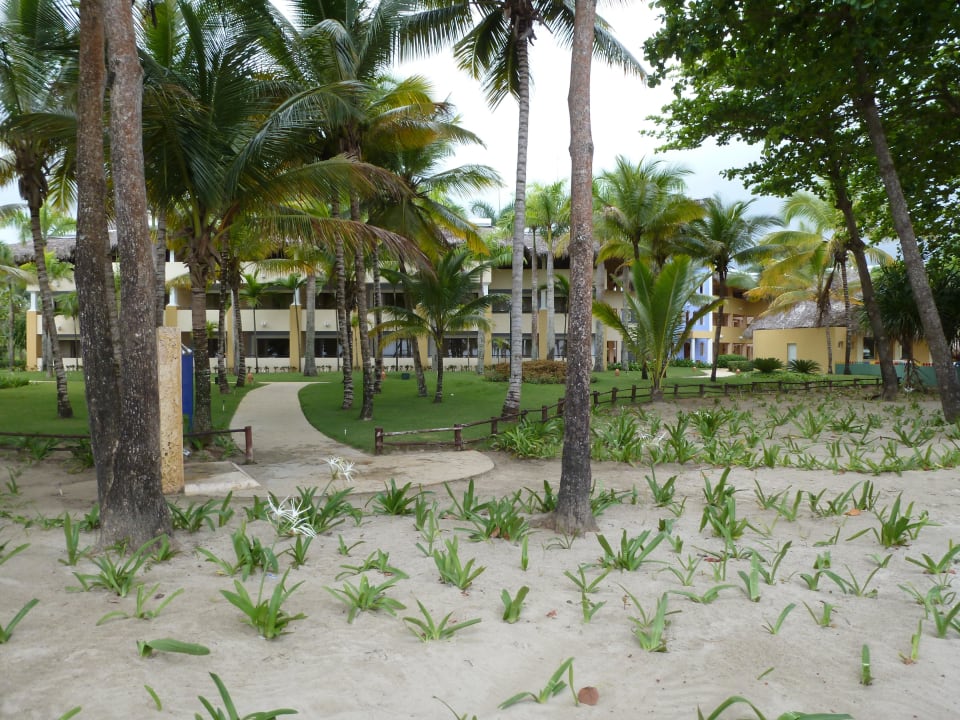 Hotel vom Strand aus Iberostar Waves Costa Dorada