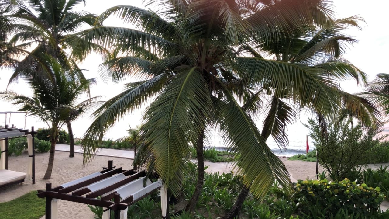 Gartenanlage Akumal Bay Beach & Wellness Resort