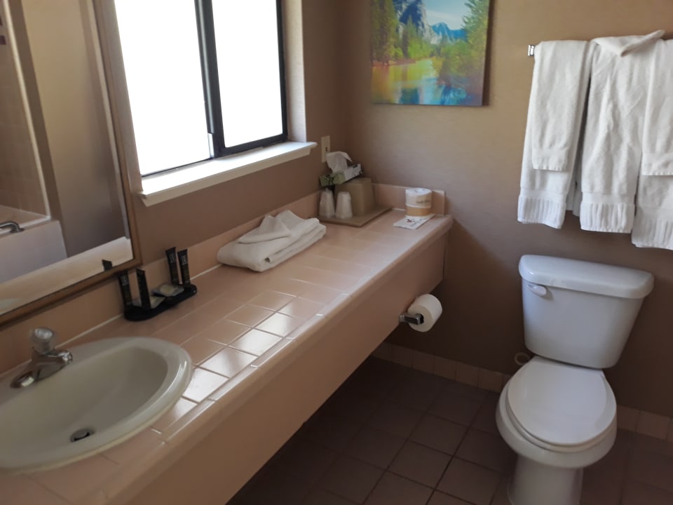 Zimmer Hotel Yosemite View Lodge