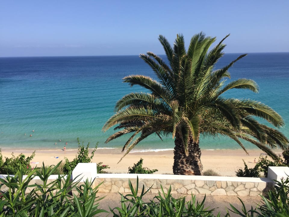 Blick vom Hotel Richtung Meer SBH Club Paraiso Playa