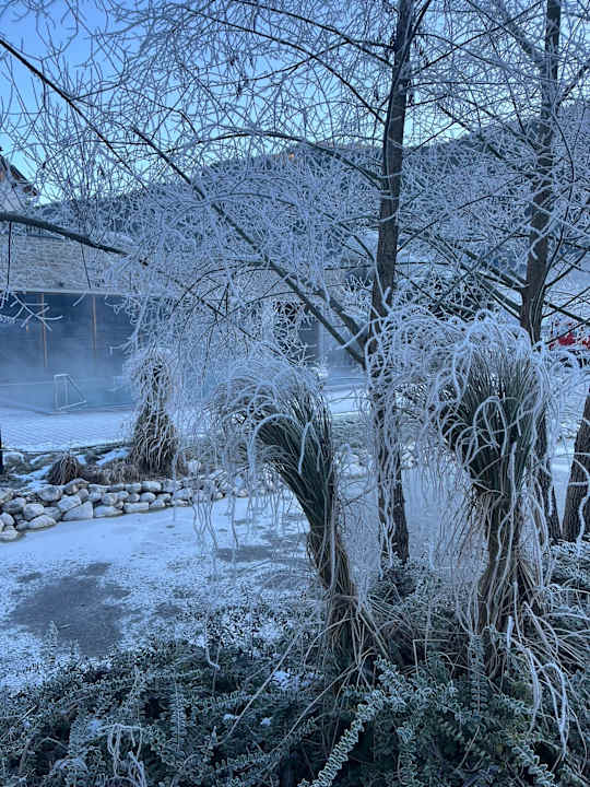 Ausblick Dachsteinkönig - Familux Resort