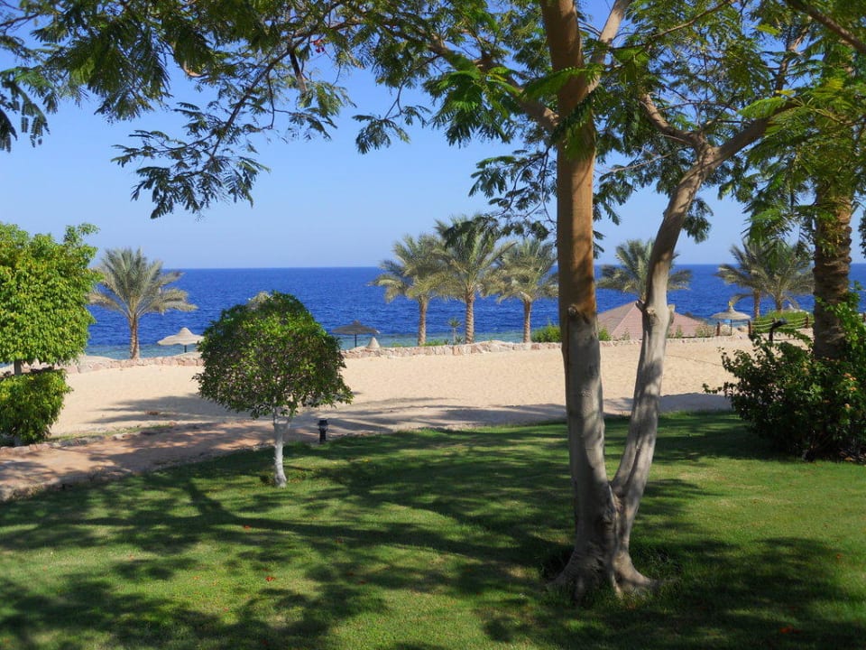 Garten / Strand / Beach Renaissance Sharm El Sheikh Golden View Beach Resort