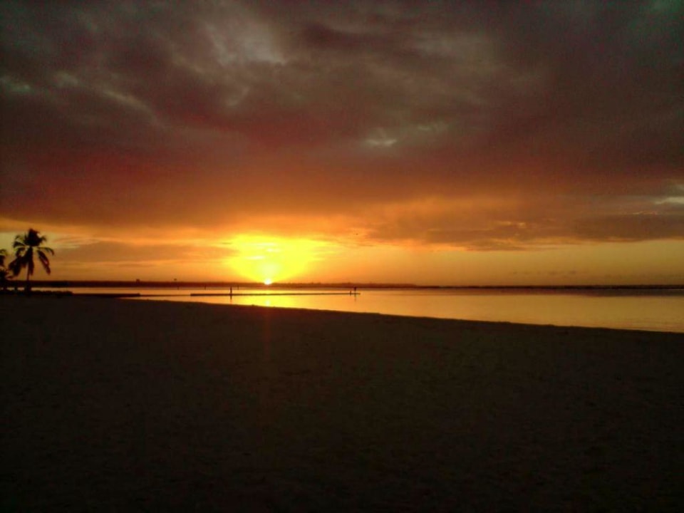 Morgenstund whala!boca chica