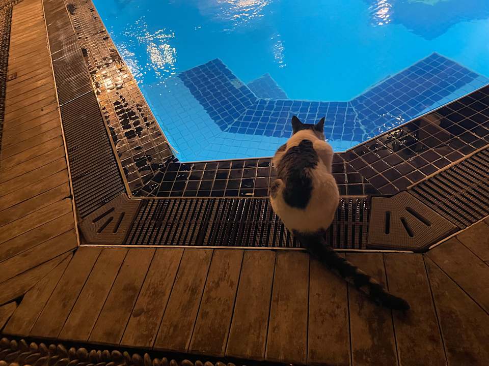 Sonstiges Alp Pasa Hotel - Special Class