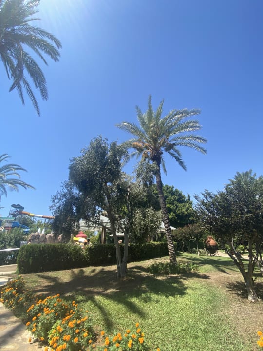 Gartenanlage Belconti Resort Hotel