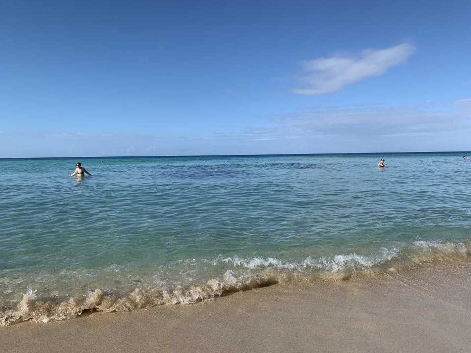 Strand Hotel Viva Dominicus Palace by Wyndham-All Inclusive Resort