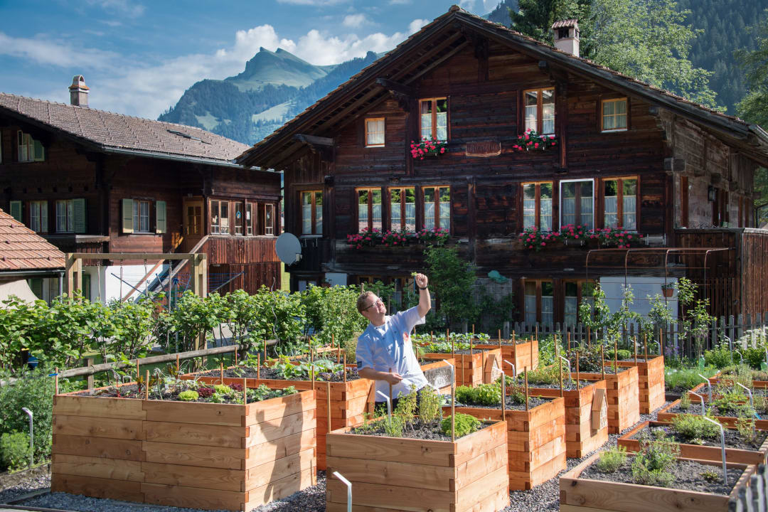 Gartenanlage Hotel Alfa-Soleil