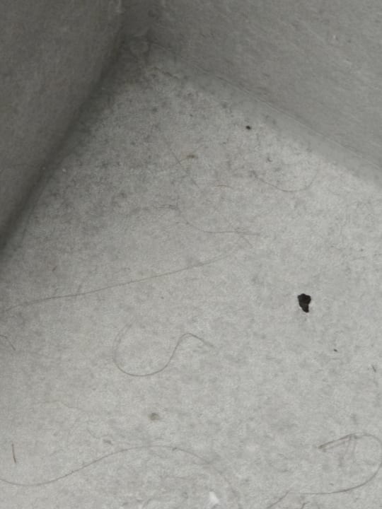 Zimmer B&B Hotel Kaiserslautern