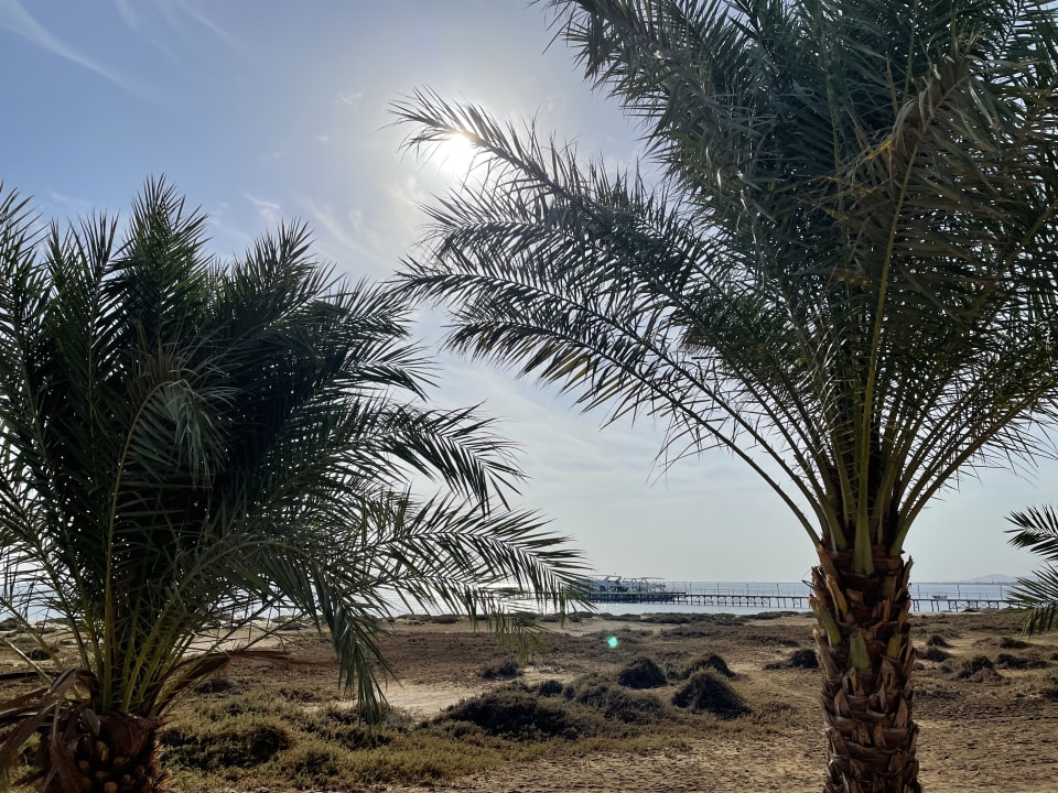 Strand Shams Alam Beach Resort