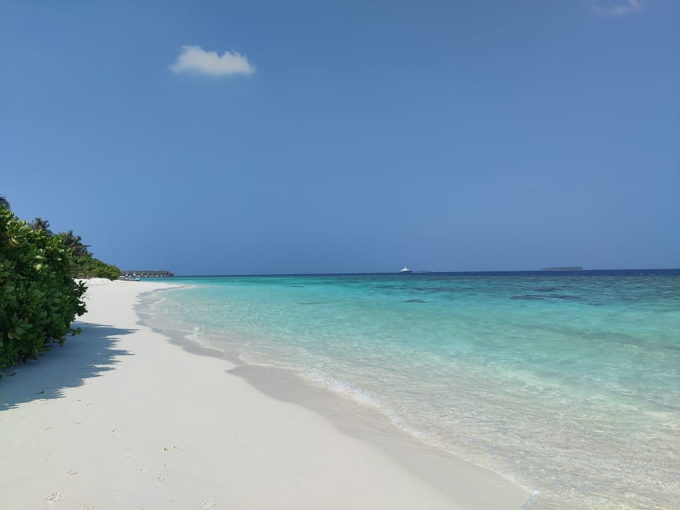 Strand Furaveri Maldives