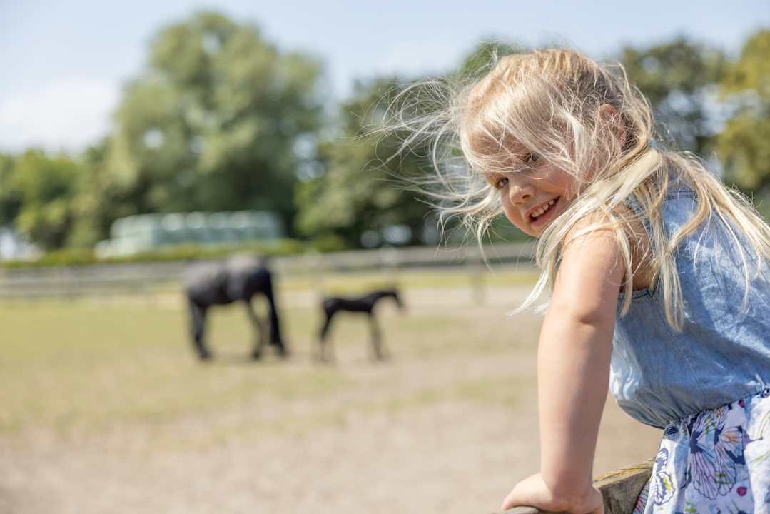 Sport & Freizeit Ferienhof Frieslandstern