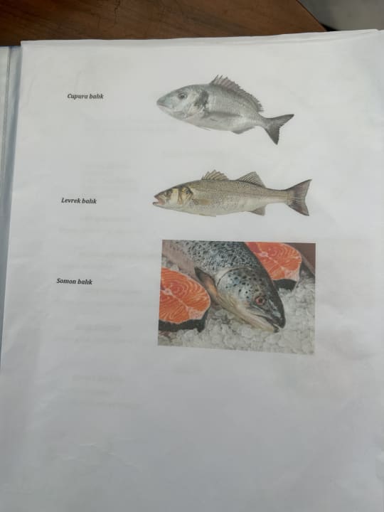 Gastro Well Palace Side