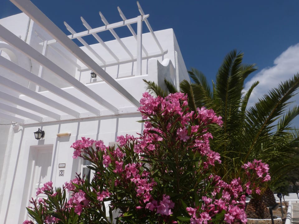 Beautiful grounds Hotel Porto Scoutari
