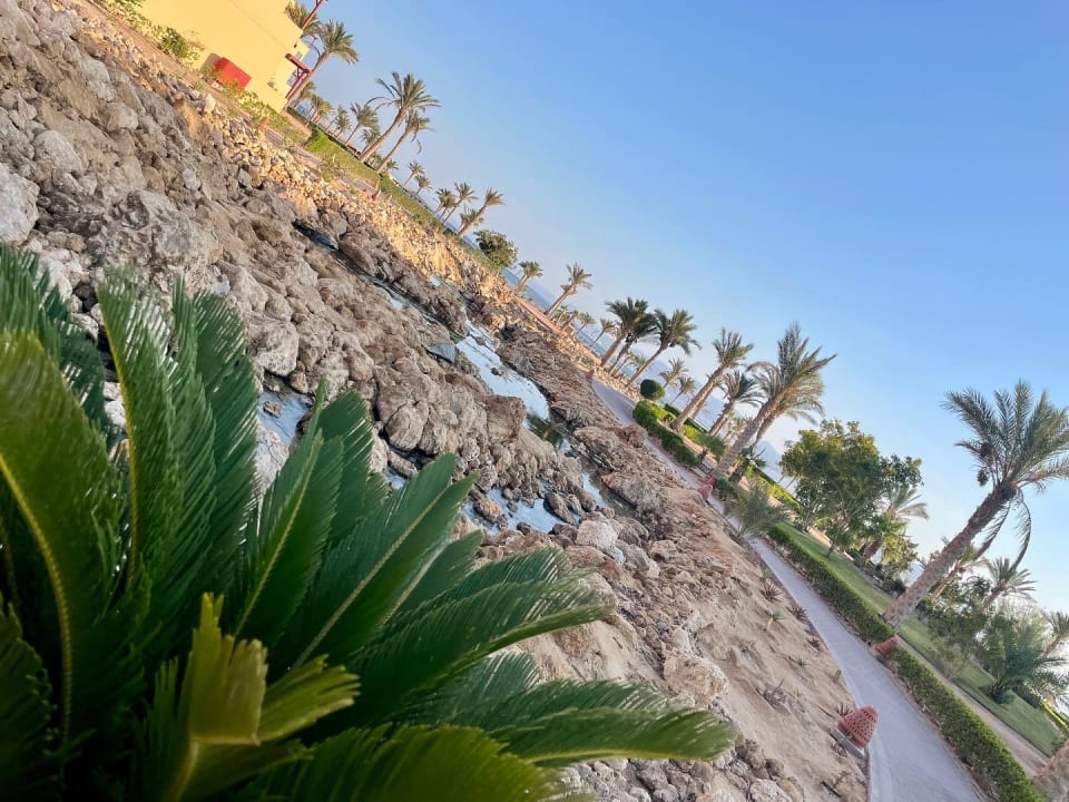 Ausblick ROBINSON SOMA BAY