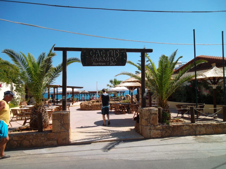 Eingang zur Strandbar Cactus Beach