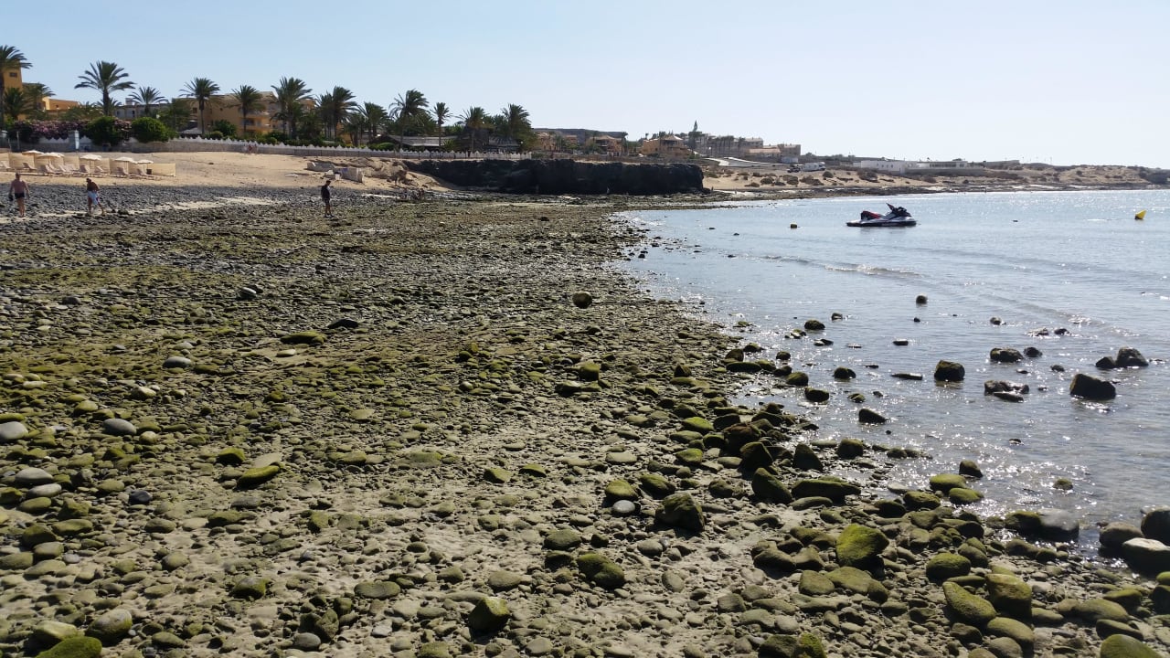 "Sandstrand"  SBH Fuerteventura Playa