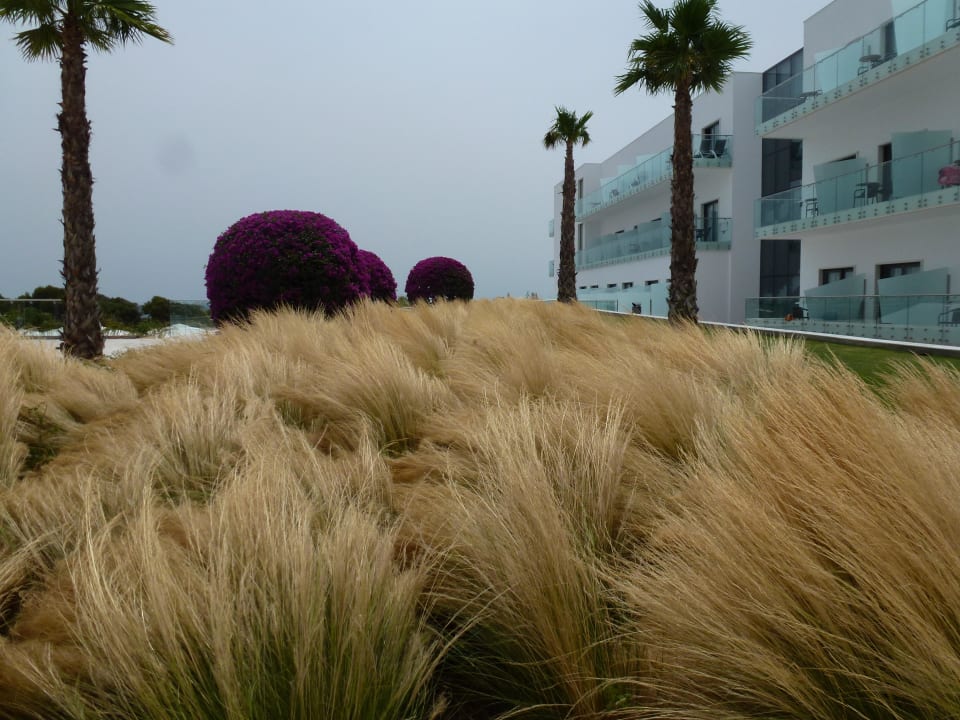 Gräser im Wind Hipotels Gran Conil Hotel