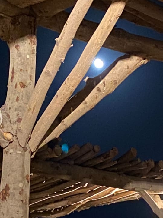 Strand Steigenberger Resort Ras Soma